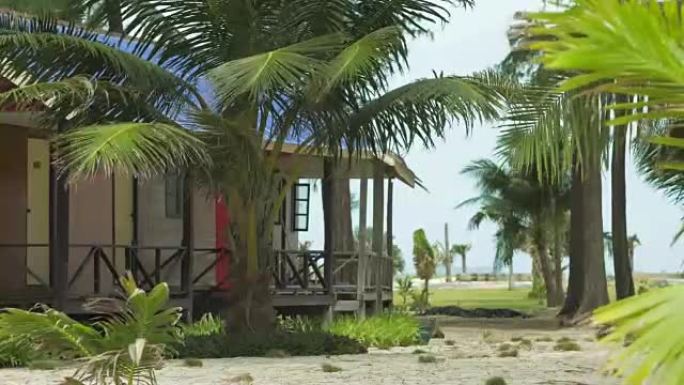 沙滩上微风轻拂的平房和热带棕榈树