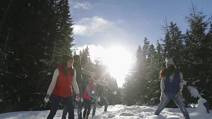 人群小组雪林年轻朋友玩雪球户外冬季松树林