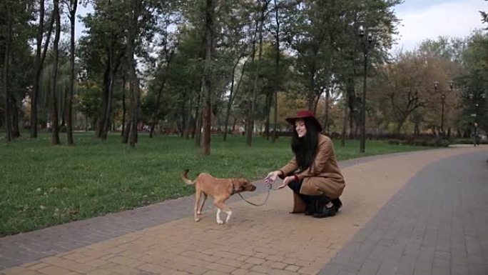 快乐的女孩在公园和她的狗玩耍