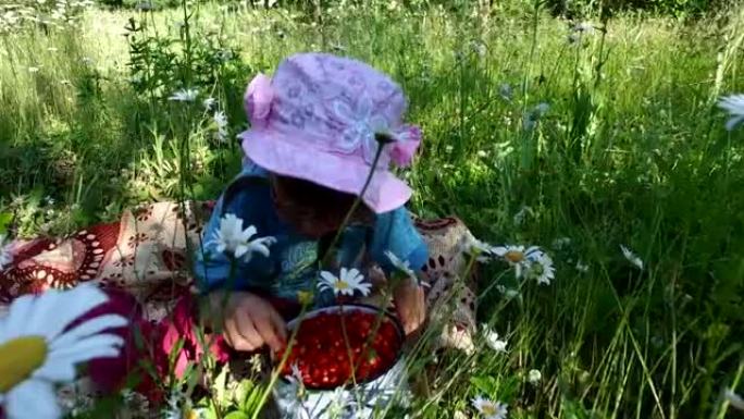 女童在草地上吃野草莓。