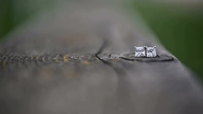 自然价值的寓言。蚂蚁发现钻石