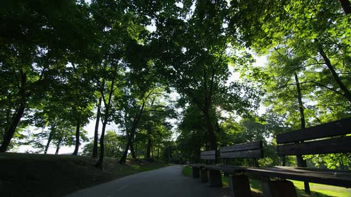 公园小径早晨的阳光树长椅