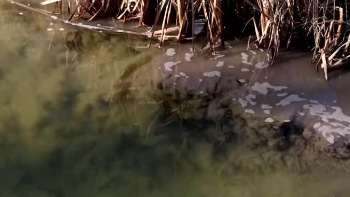 废水流入河流。