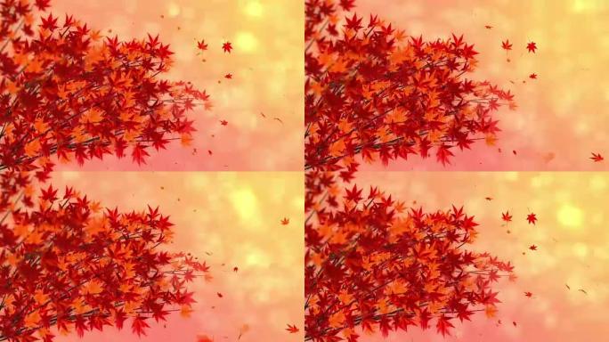 秋叶枫树，树枝，美丽自然的秋天景象，
