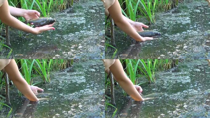 一个女孩在河水中抱着一条鱼，放开它