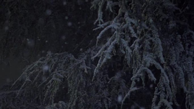 寂静的冬夜，雪慢慢落下