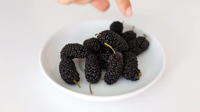 新鲜水果，甜美成熟的黑桑莓放在白色碗中