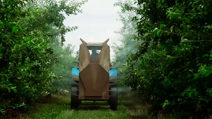 在苹果园中使用化学药品的风扇喷雾器的后视图