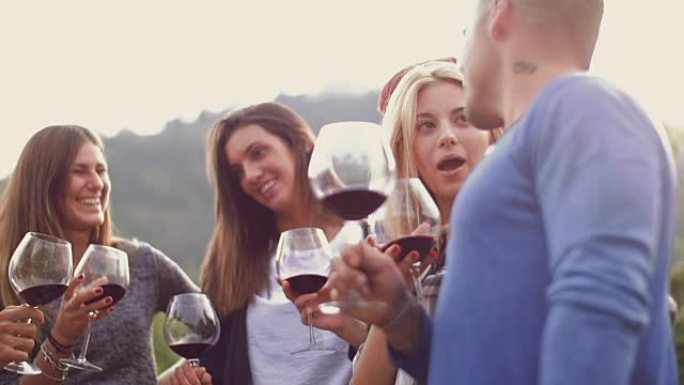 一群朋友在葡萄园里用红酒敬酒