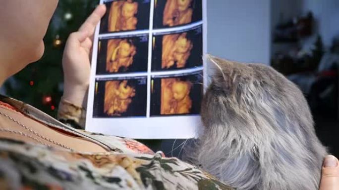 孕妇有超声波照片和猫