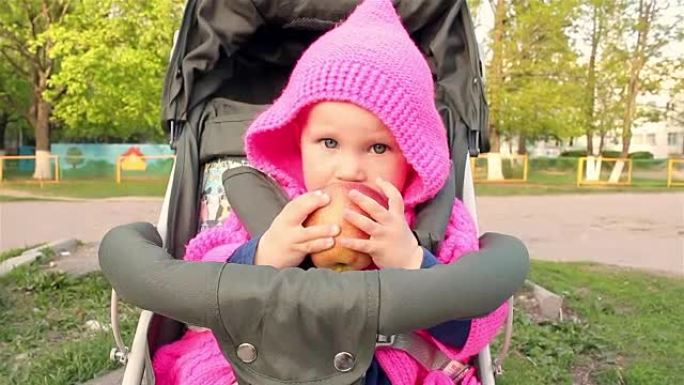 女婴坐在婴儿车里吃苹果