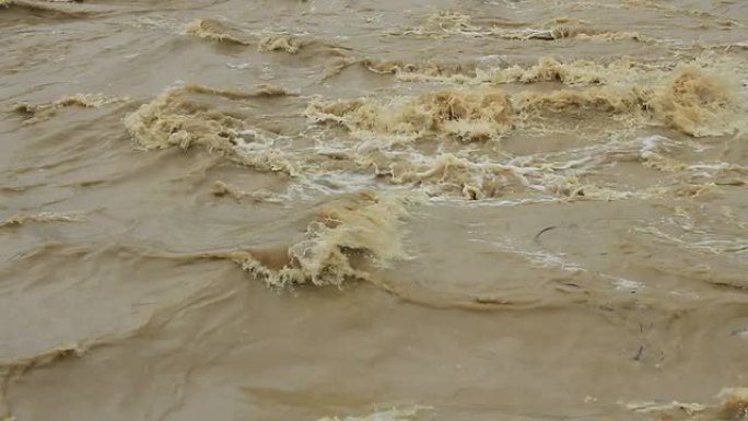 泥泞河-里奥·恩巴拉多