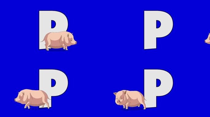 字母P和Pig (前景)