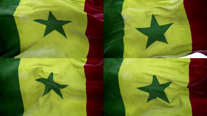 逼真的塞内加尔旗3d动画循环