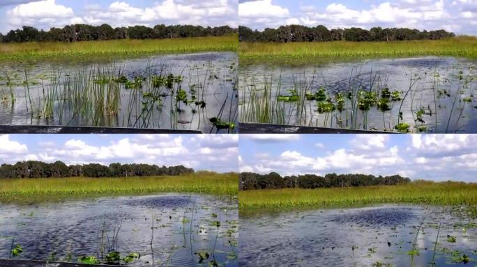 飞艇穿越佛罗里达州中部的湿地