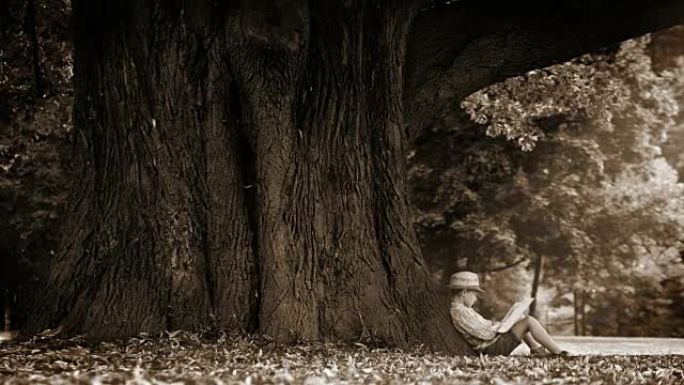 一个男孩坐在一棵巨大的菩提树脚下并阅读的棕褐色镜头