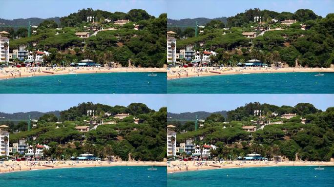 海滩棕榈树和酒店海滩度假村
