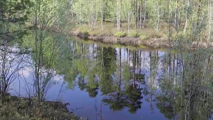 西伯利亚河上的春季洪水。水中树木的倒影