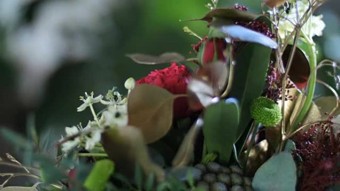 特写，花束在光线中，旋转，由Protea，Brunia green，Barbatus，玫瑰介子形波尔