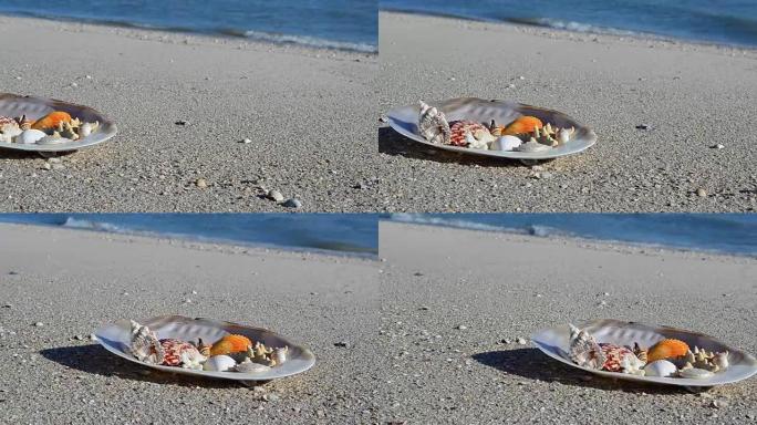波浪背景下沙子上的鸡壳。