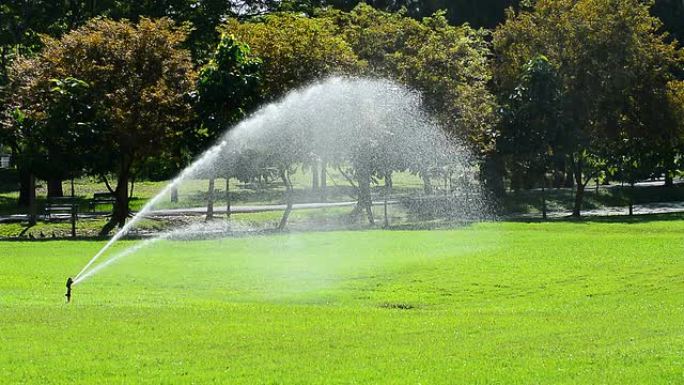 洒水器在绿色阳光充足的田野上喷水