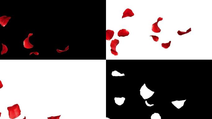 落下的花瓣玫瑰3d动画
