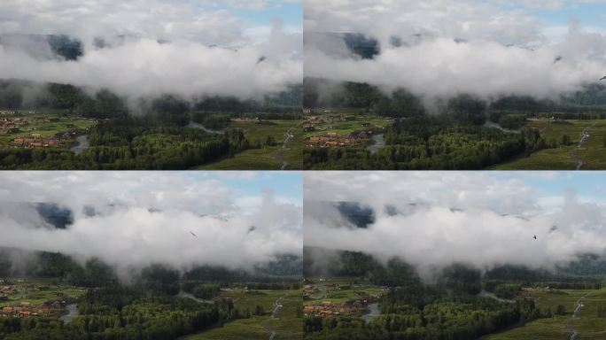 雨后晨雾下的村落+老鹰盘旋的延时摄影