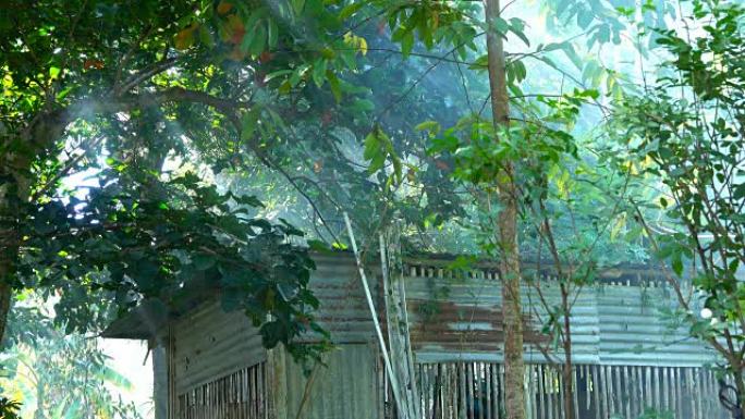 竹屋花园背景下带阳光燃烧的4k烟