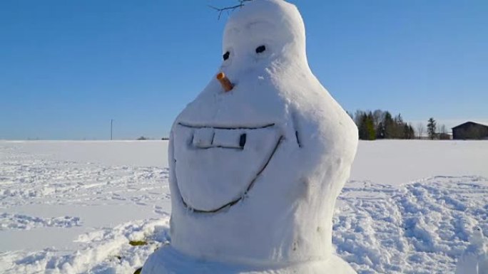 看起来像奥拉夫的雪人