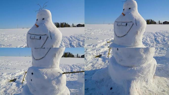 看起来像奥拉夫的雪人