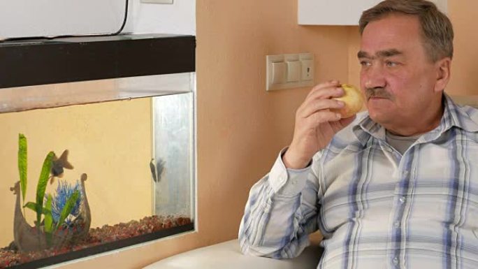 男人老胡子在家休息，吃苹果。他看着水族馆里的鱼和水果叮咬