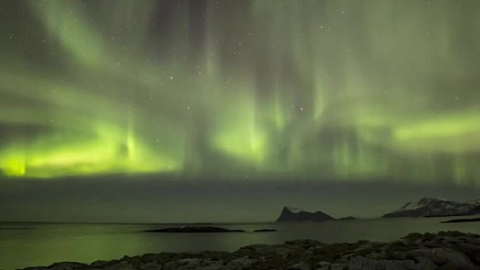 北极海岸线的极北极光 (aurora borealis)