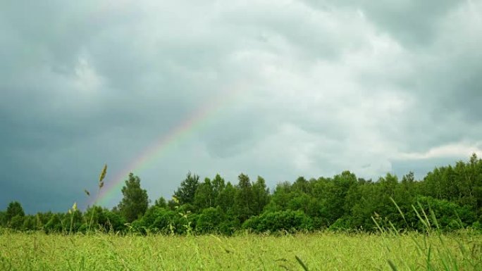 彩虹在阳光普照的林地和草地上的灰色天空上。草在风中飘动。彩虹-由水滴中光的反射折射色散引起的气象现象