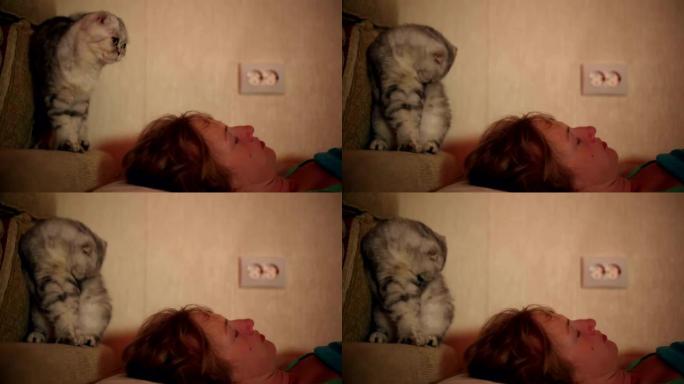 猫叫醒了他熟睡的情妇