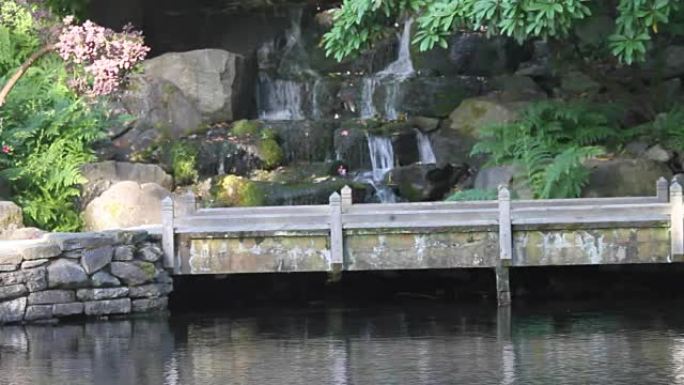 水晶杜鹃花花园