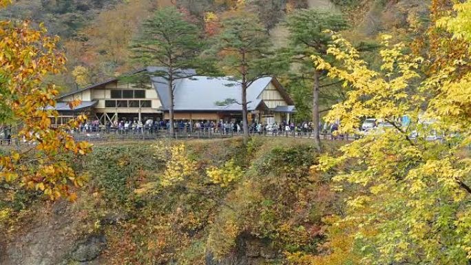 日本鸣子峡谷的秋天颜色和漂亮的蓝色和云背景