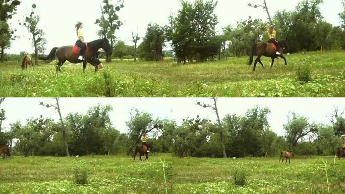 瘦瘦的女孩在大自然上跳上一匹棕色的大马