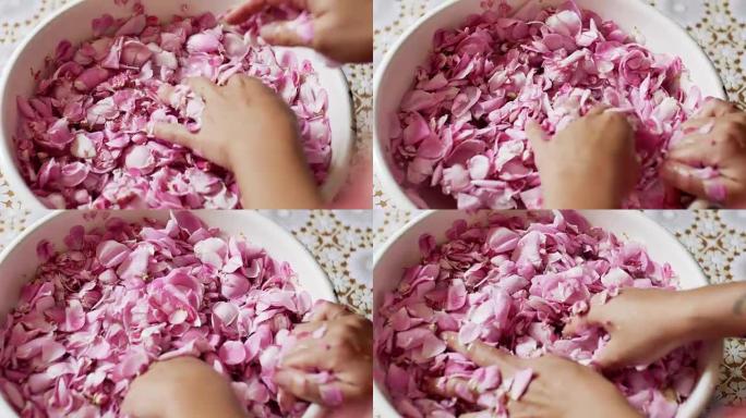 女性双手的特写，在手掌中拔罐精致的粉红色花朵盛开
