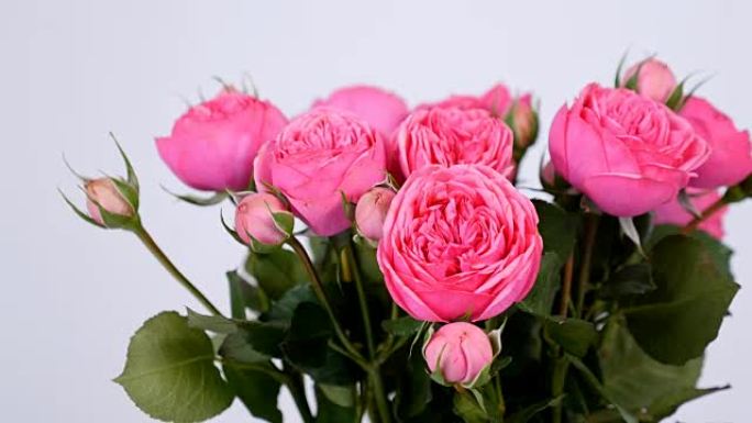 特写，鲜花，花束，白色背景上的旋转，花卉组成由粉红色玫瑰圆锥形