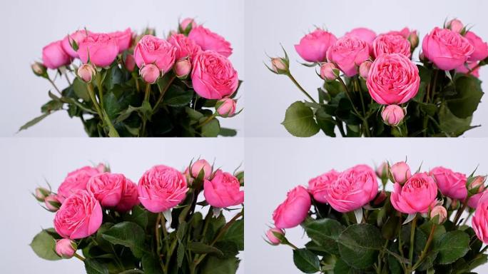 特写，鲜花，花束，白色背景上的旋转，花卉组成由粉红色玫瑰圆锥形