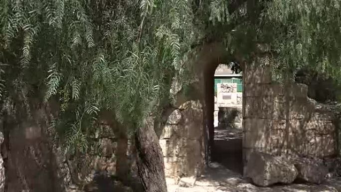 橄榄树守卫教堂庭院的隐藏入口