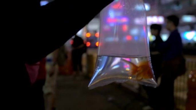 女人手臂的慢动作视图拿着带有金鱼的塑料包装，然后进入购物中心。中国香港