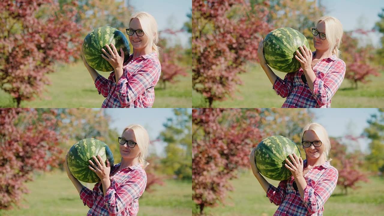 秋天和丰收。一位女农夫手里拿着一只又大又重的西瓜