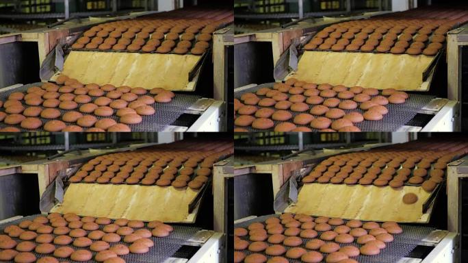 自动传送带或生产线上的蛋糕，糖果厂的烘焙过程。食品工业，饼干生产