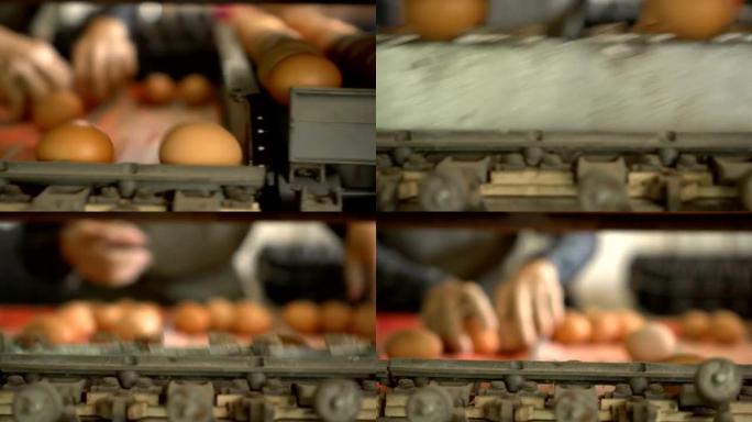 鸡蛋分选机的平移镜头