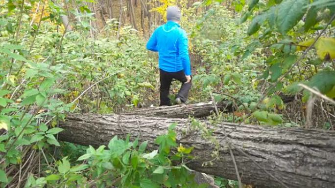 男子慢跑越野跑和跳过障碍在森林中奔跑。在鼓舞人心的秋季风景中越野跑步时进行户外训练和锻炼。体育动机。