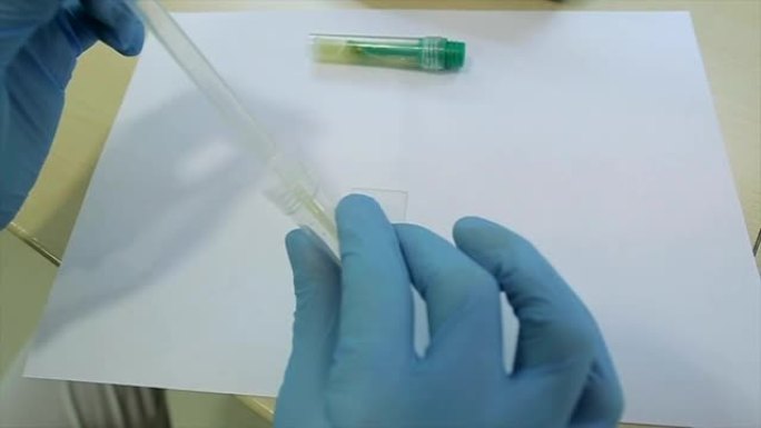 寄生虫学微生物实验室的粪便样本
