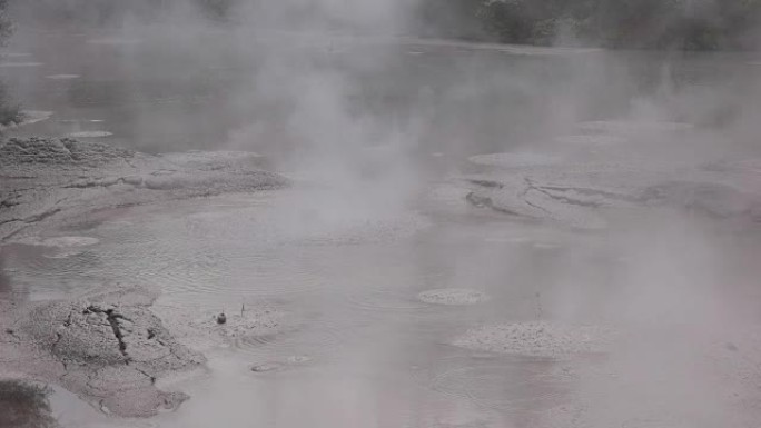 新西兰罗托鲁瓦的沸腾泥浆池
