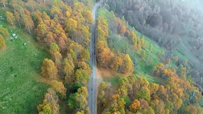 向后发现色彩缤纷的乡村秋季森林中道路的空中俯视图。秋天的橙色，绿色，黄色的红树树林。雾街路径建立。4