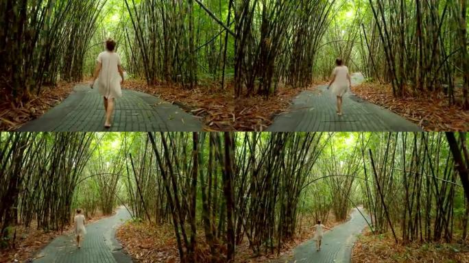 鸟瞰图无人机拍摄的4k视频，年轻女子的手臂在竹林中伸展，享受大自然的自由，人们旅行幸福的概念